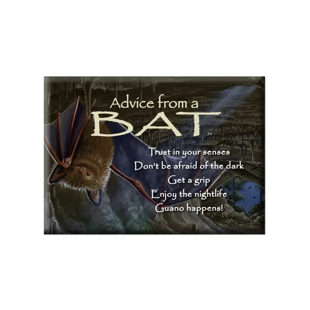 Advice from a Bat Jumbo Magnet