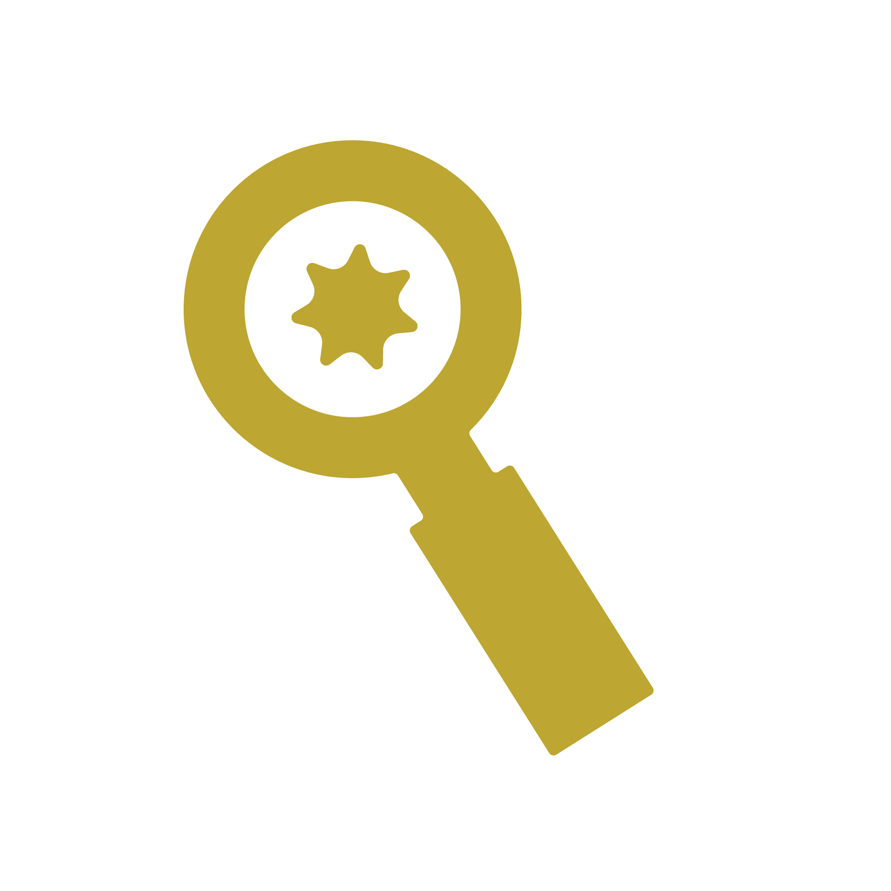 Niche Focus
